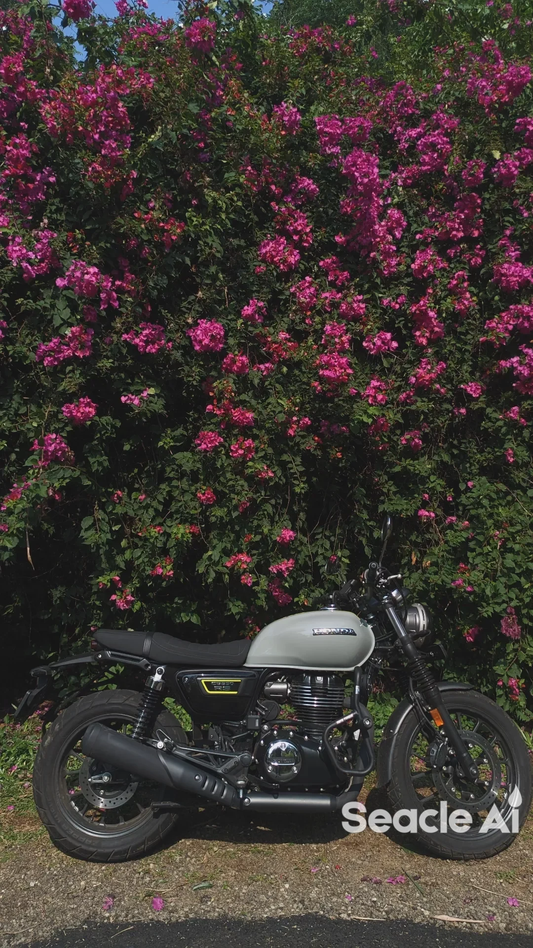 Honda CB350RS