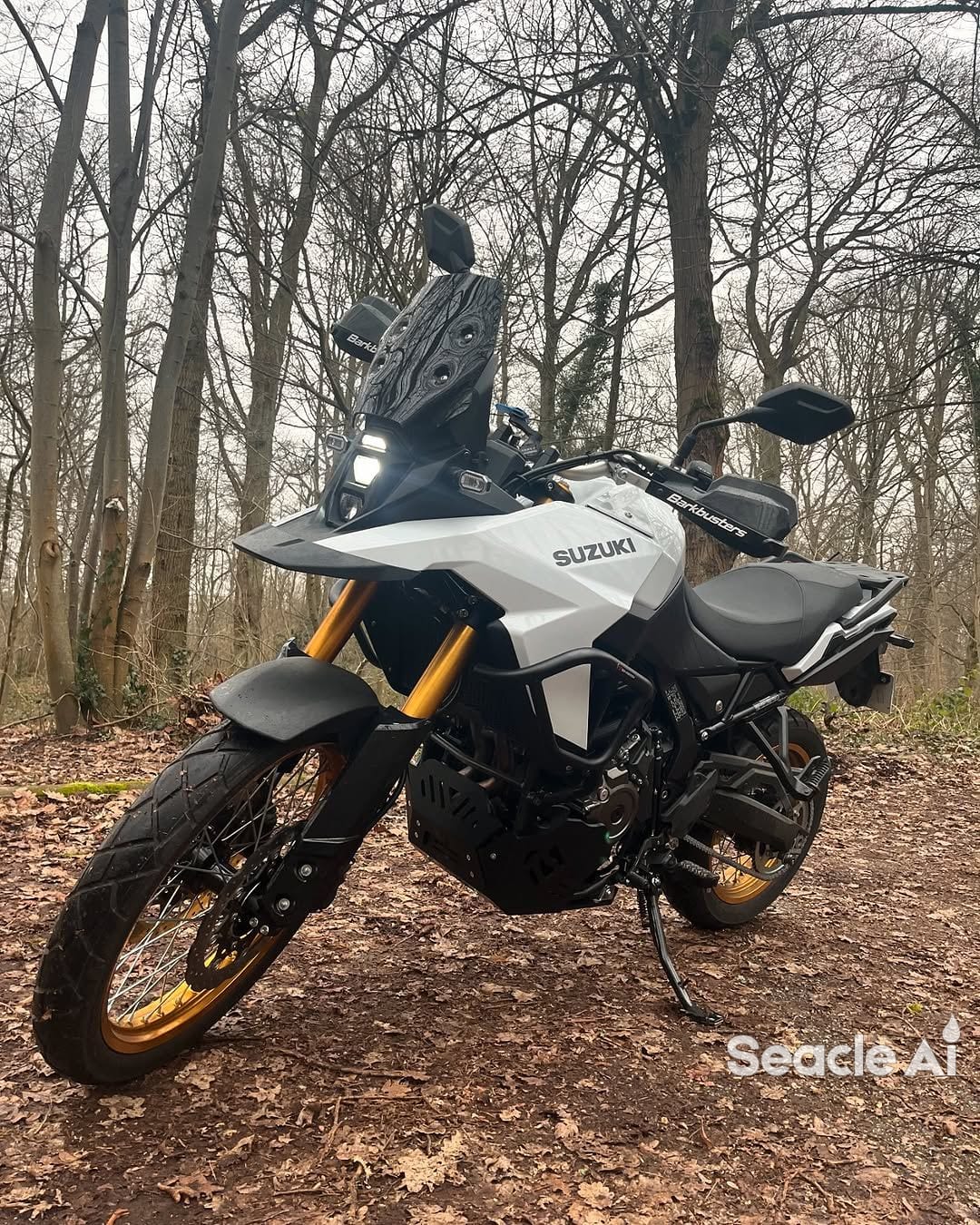 Suzuki V-Strom 800DE