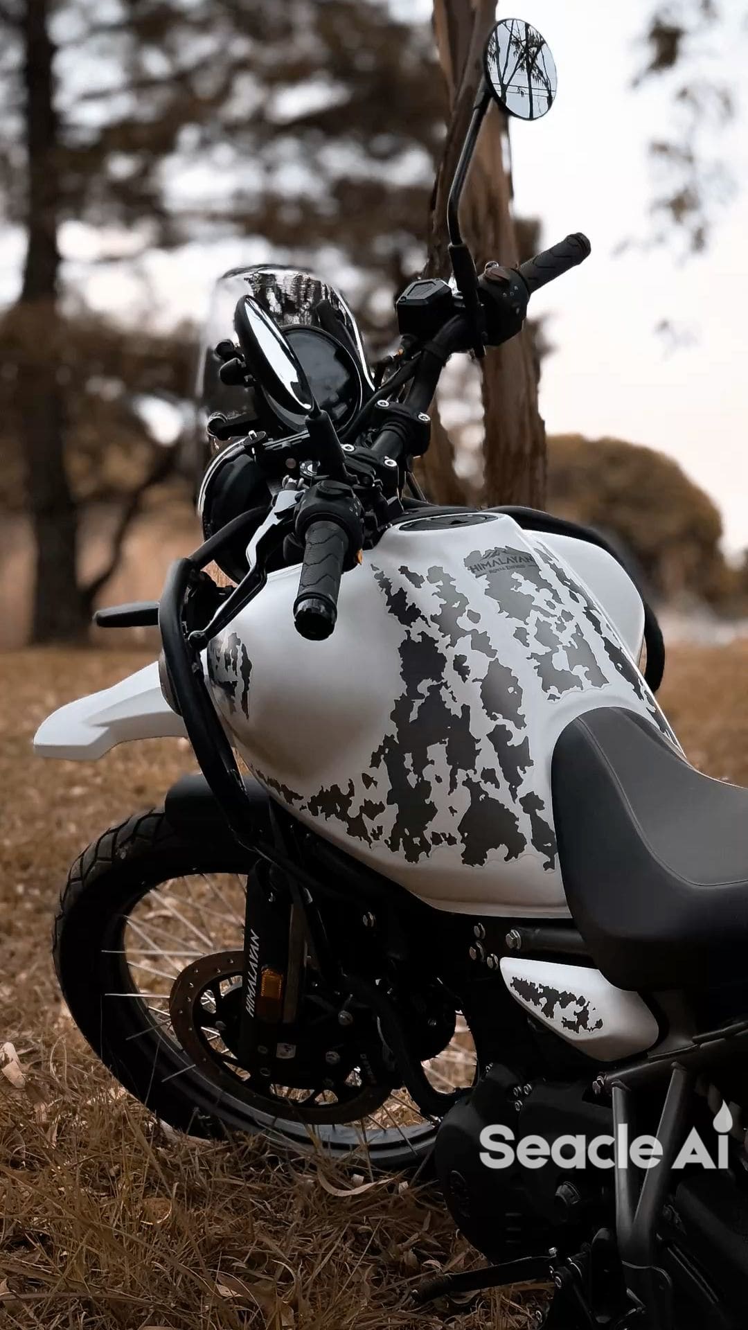 Royal Enfield Himalayan 450