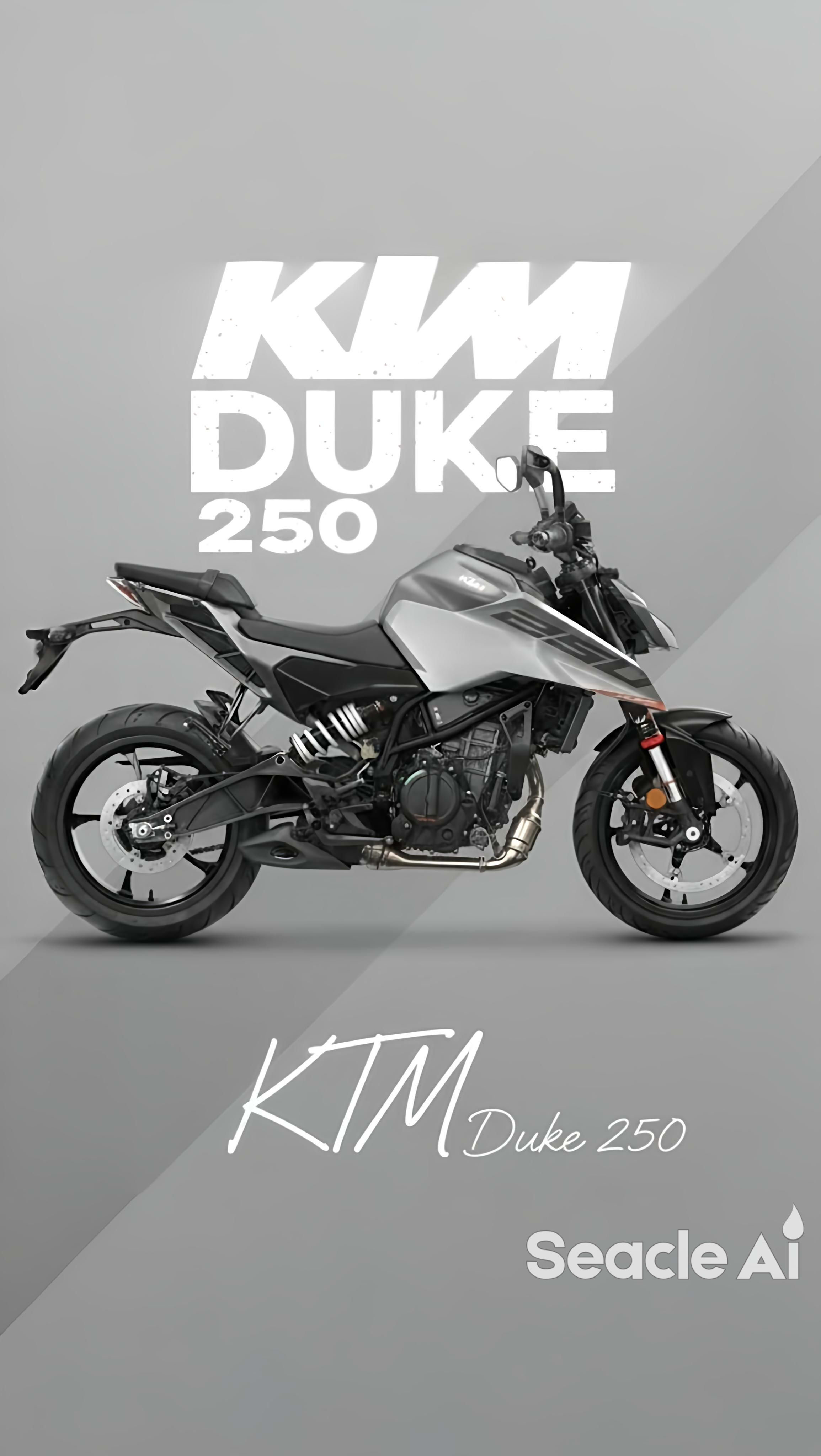 KTM 250 Duke