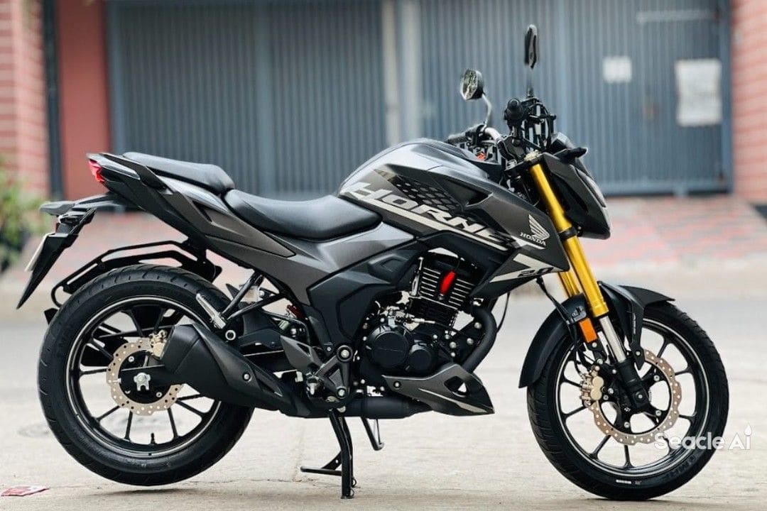 Honda Hornet 2.0