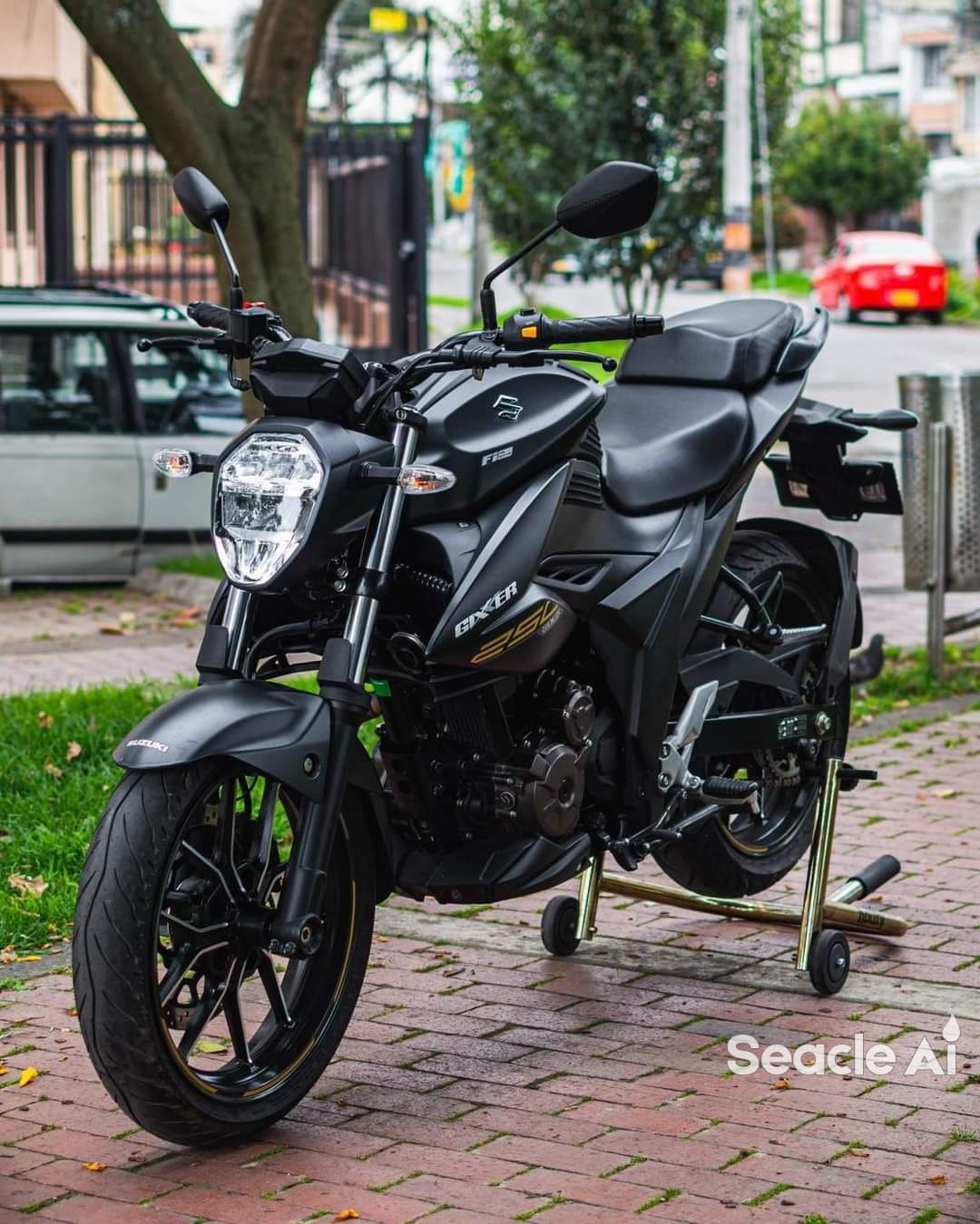 Suzuki Gixxer 250