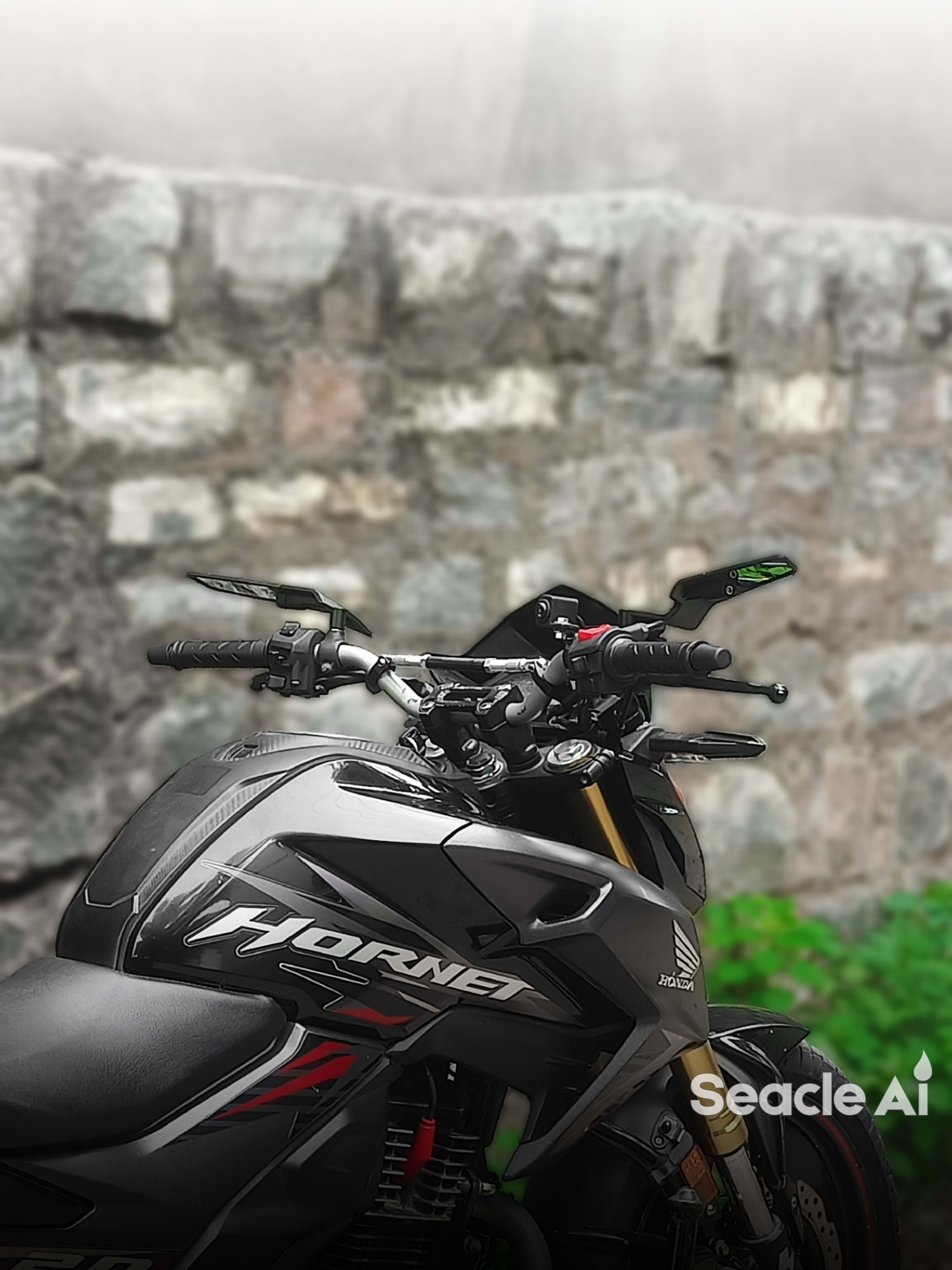 Honda Hornet 2.0